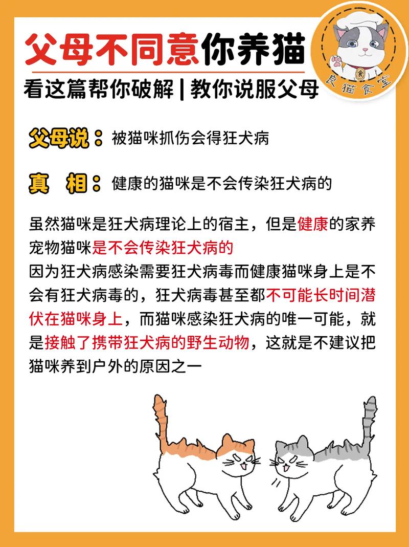 猫咪不亲人怎么办,猫咪不亲人什么-第4张图片-后鲨宠物 猫咪不亲人怎么办,猫咪不亲人什么-第4张图片-后鲨宠物