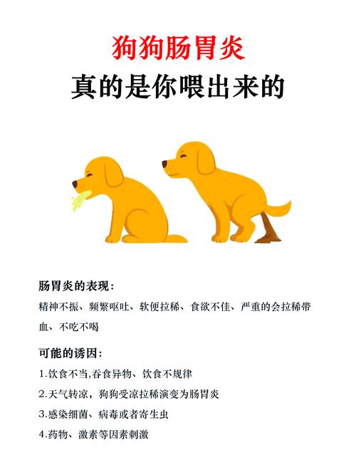 狗狗肠胃炎严重吗,狗狗肠胃炎最痛苦的阶段?-第4张图片-后鲨宠物 狗狗肠胃炎严重吗,狗狗肠胃炎最痛苦的阶段?-第4张图片-后鲨宠物