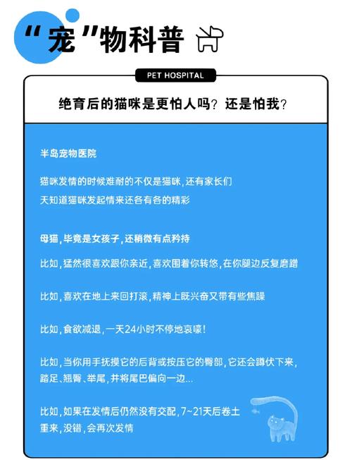 猫咪绝育后性格会变吗,猫绝育以后性格会变么?-第1张图片-后鲨宠物 猫咪绝育后性格会变吗,猫绝育以后性格会变么?-第1张图片-后鲨宠物