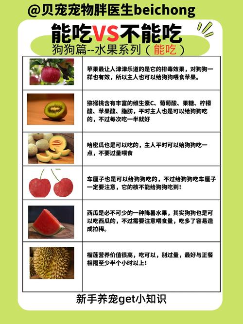 狗狗可以吃番茄酱吗_狗子可以吃番茄酱吗-第3张图片-后鲨宠物 狗狗可以吃番茄酱吗_狗子可以吃番茄酱吗-第3张图片-后鲨宠物