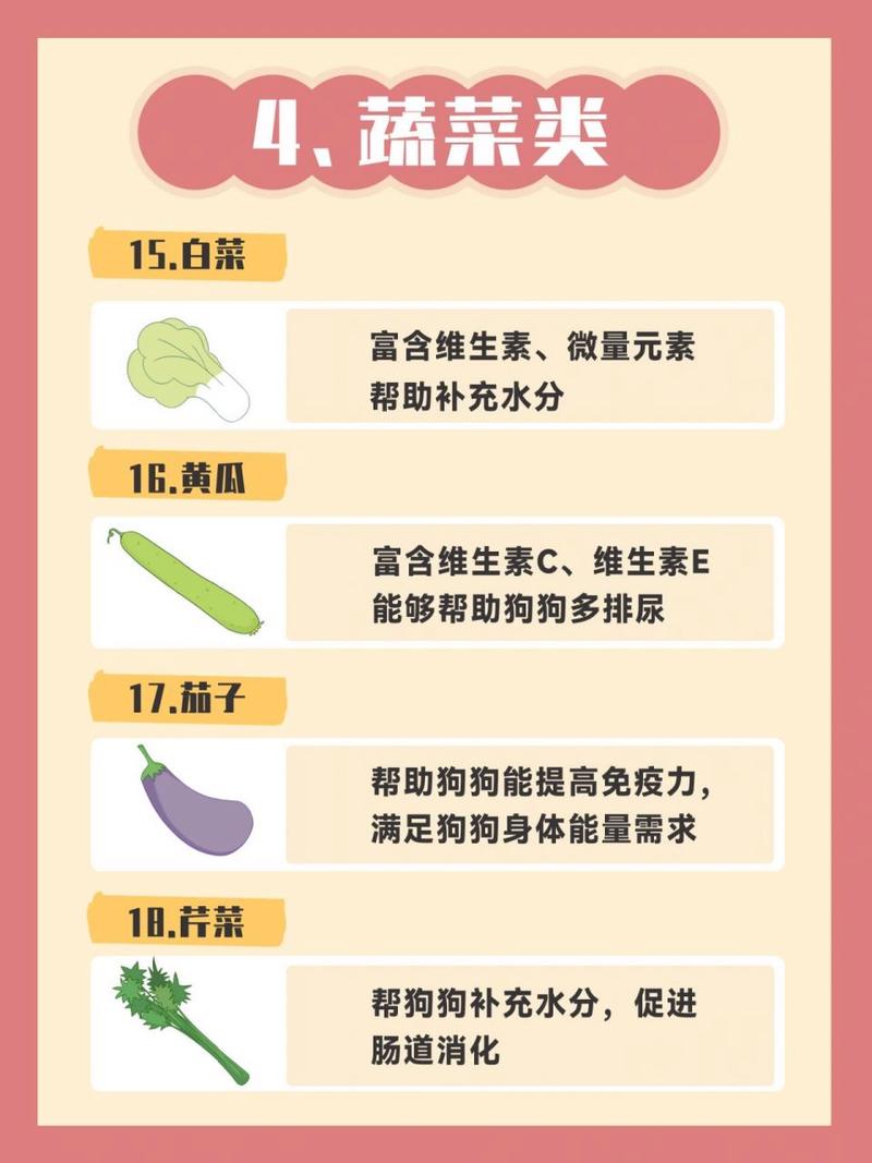 狗狗可以吃番茄酱吗_狗子可以吃番茄酱吗-第5张图片-后鲨宠物 狗狗可以吃番茄酱吗_狗子可以吃番茄酱吗-第5张图片-后鲨宠物