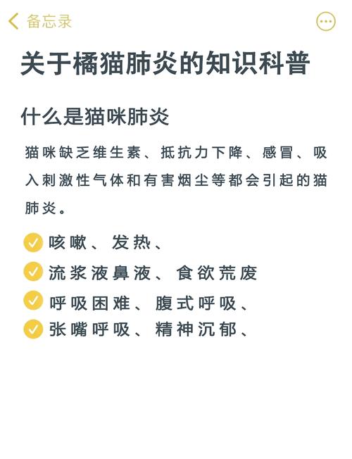 怎么判断猫咪感冒_怎么判断猫咪感冒好了没有-第4张图片-后鲨宠物 怎么判断猫咪感冒_怎么判断猫咪感冒好了没有-第4张图片-后鲨宠物