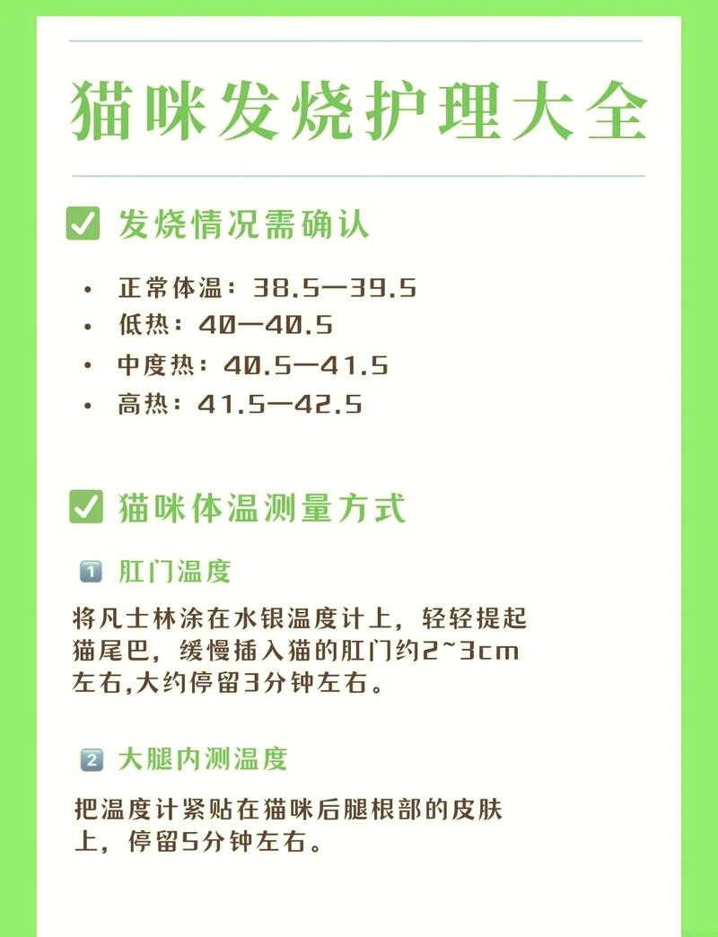 猫咪发烧了怎么办_猫咪发烧了怎么办感冒-第4张图片-后鲨宠物 猫咪发烧了怎么办_猫咪发烧了怎么办感冒-第4张图片-后鲨宠物