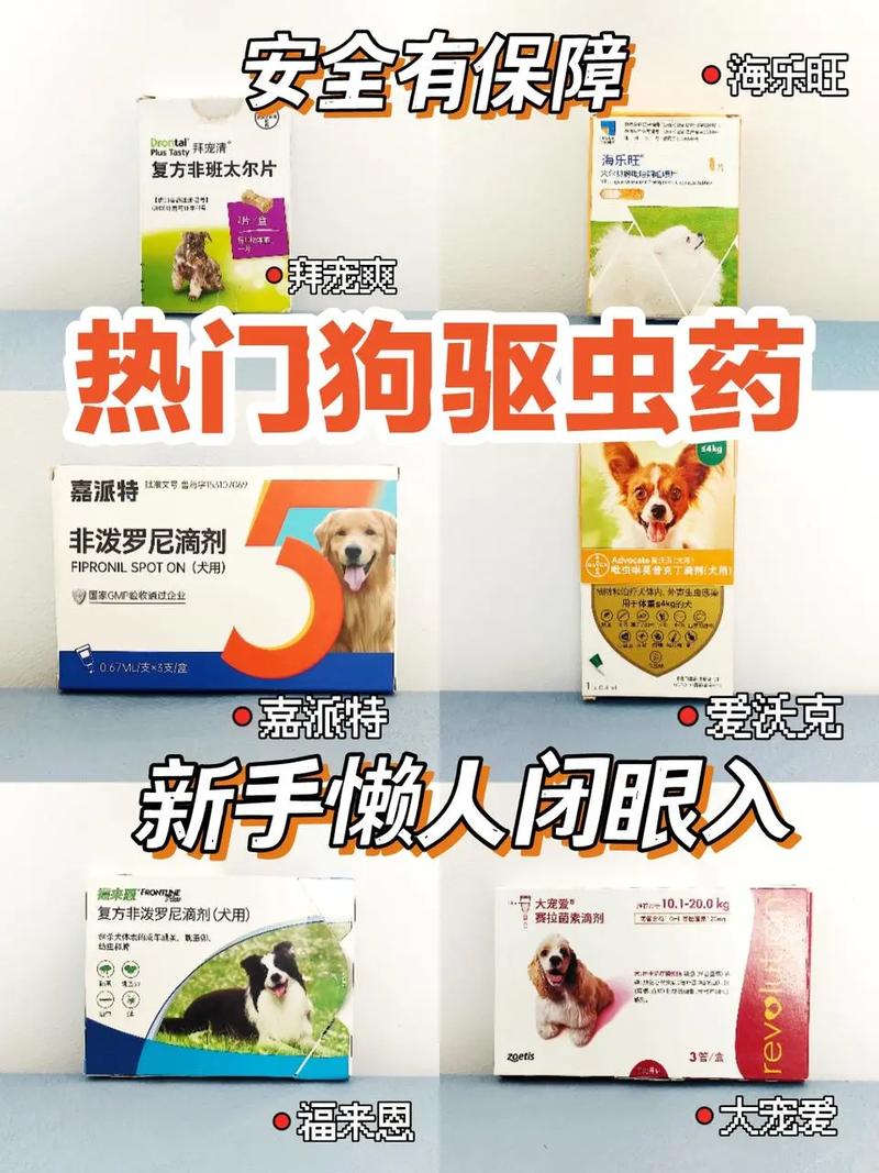 狗狗驱虫药什么时候吃合适_狗狗驱虫药什么时间吃比较好呢-第2张图片-后鲨宠物 狗狗驱虫药什么时候吃合适_狗狗驱虫药什么时间吃比较好呢-第2张图片-后鲨宠物