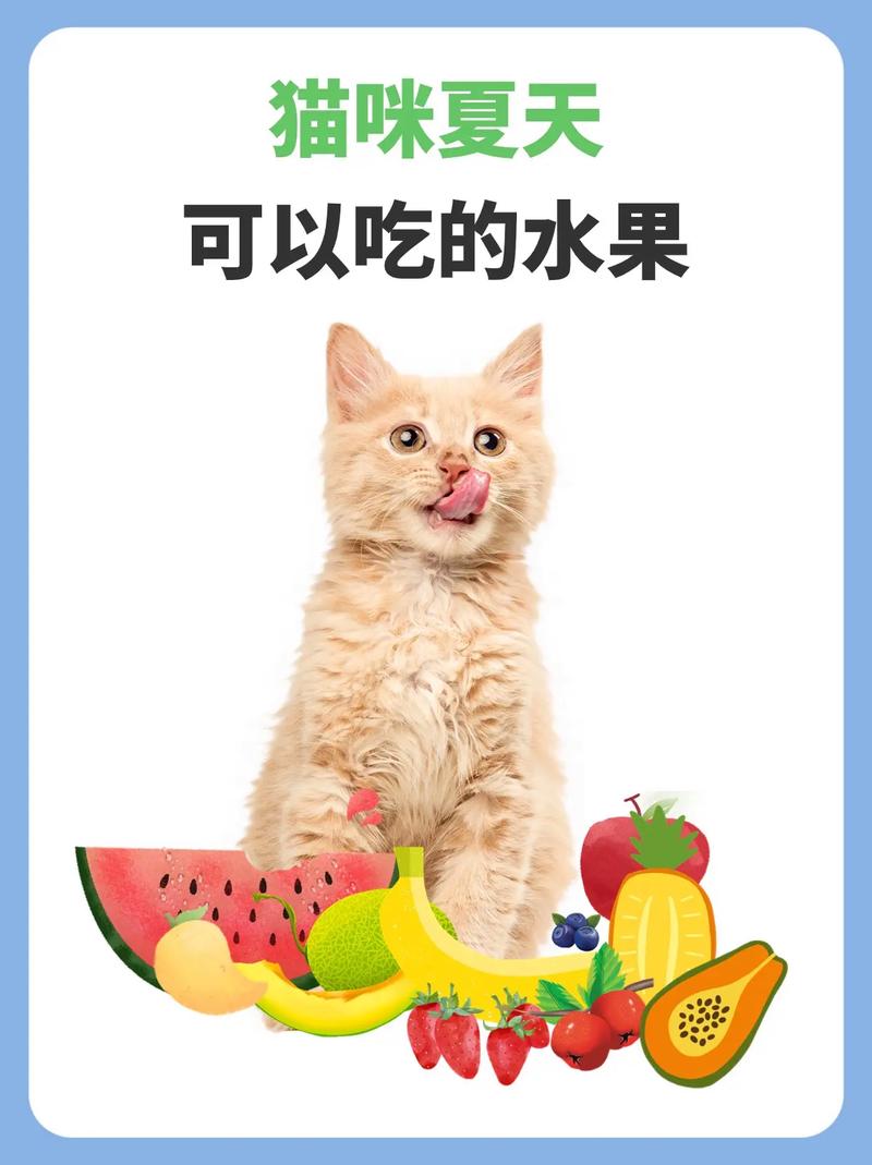 猫猫能吃柚子吗,猫咪可以吃柚子?-第6张图片-后鲨宠物 猫猫能吃柚子吗,猫咪可以吃柚子?-第6张图片-后鲨宠物