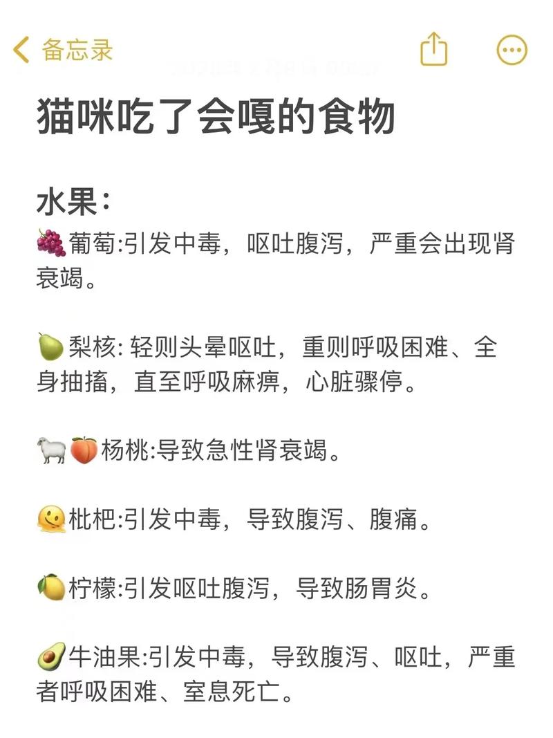  猫咪生病不吃东西怎么办，猫咪生病不吃不喝咋办-第5张图片-后鲨宠物