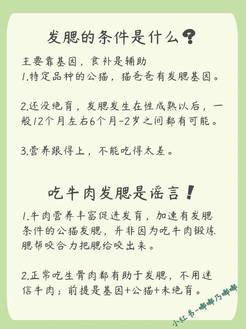 猫咪增肥吃什么,猫咪增肥吃什么药-第1张图片-后鲨宠物 猫咪增肥吃什么,猫咪增肥吃什么药-第1张图片-后鲨宠物