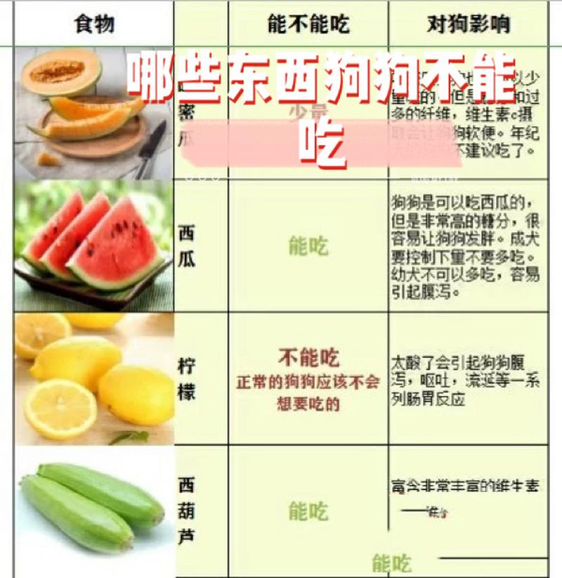 狗狗吃西瓜可以吗,狗狗吃西瓜吗会中毒吗?-第6张图片-后鲨宠物 狗狗吃西瓜可以吗,狗狗吃西瓜吗会中毒吗?-第6张图片-后鲨宠物
