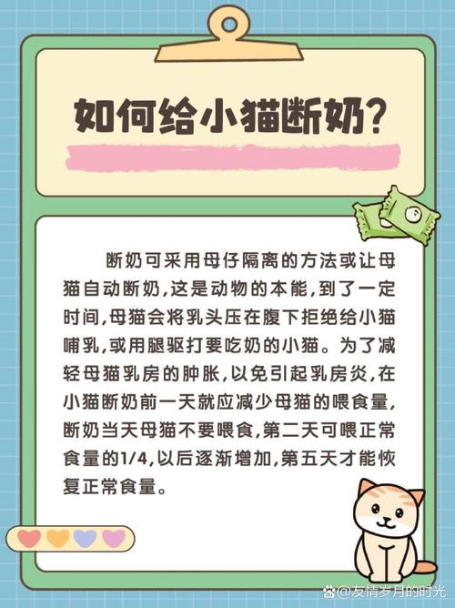 小猫咪多久断奶_小猫儿多久断奶-第4张图片-后鲨宠物 小猫咪多久断奶_小猫儿多久断奶-第4张图片-后鲨宠物