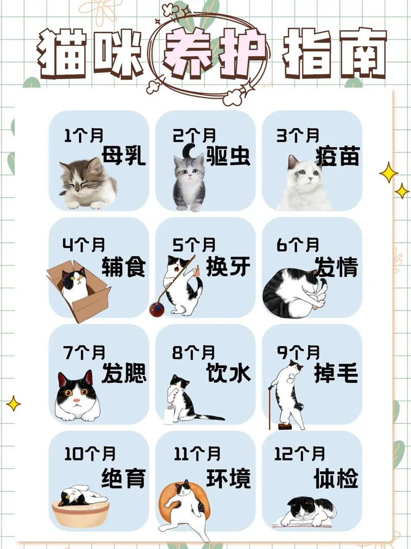 小猫咪多久断奶_小猫儿多久断奶-第5张图片-后鲨宠物 小猫咪多久断奶_小猫儿多久断奶-第5张图片-后鲨宠物