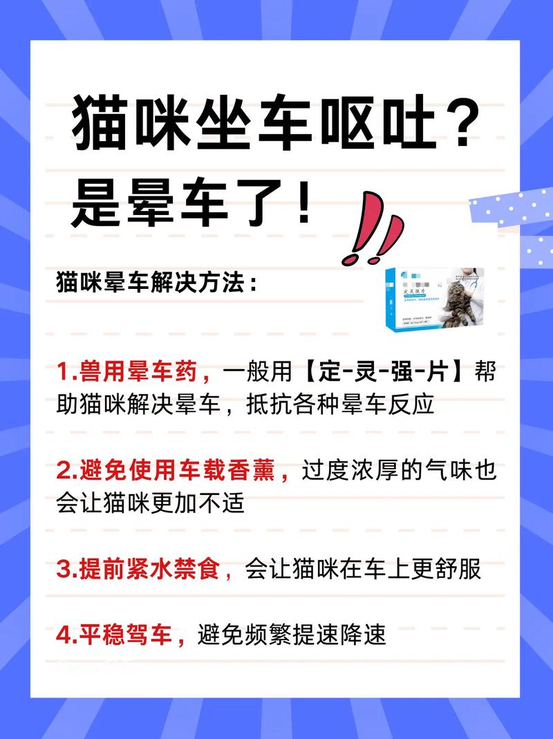 猫咪晕车怎么办_猫咪晕车该怎么办-第3张图片-后鲨宠物 猫咪晕车怎么办_猫咪晕车该怎么办-第3张图片-后鲨宠物