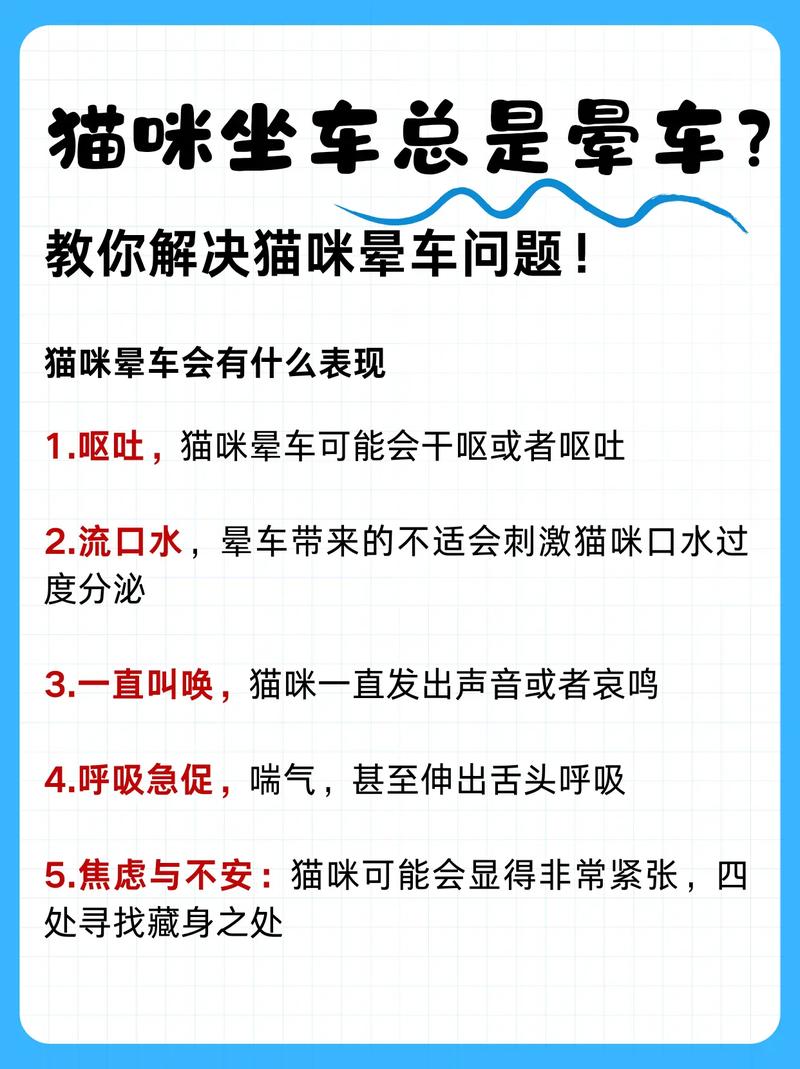 猫咪晕车怎么办_猫咪晕车该怎么办-第5张图片-后鲨宠物 猫咪晕车怎么办_猫咪晕车该怎么办-第5张图片-后鲨宠物