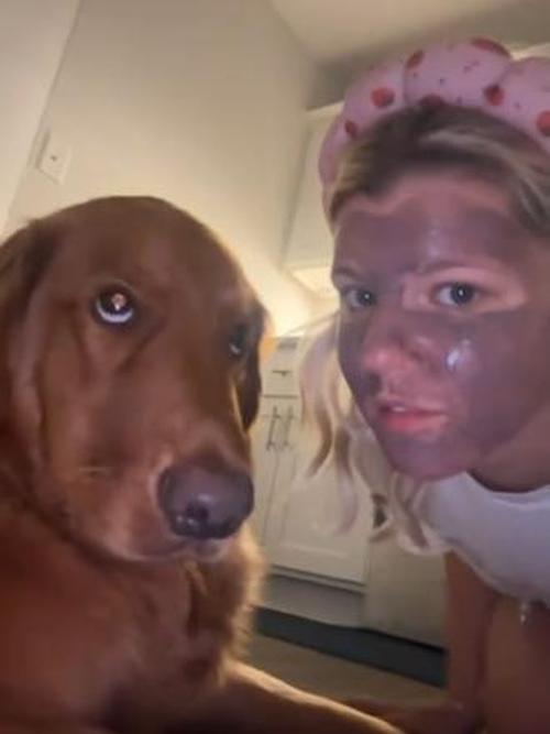 狗狗把面膜吃了怎么办_狗狗误吃了面膜怎么办-第3张图片-后鲨宠物