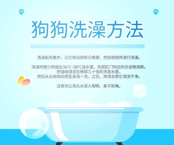 小狗狗多久可以洗澡,小狗狗多久可以洗澡?-第4张图片-后鲨宠物 小狗狗多久可以洗澡,小狗狗多久可以洗澡?-第4张图片-后鲨宠物