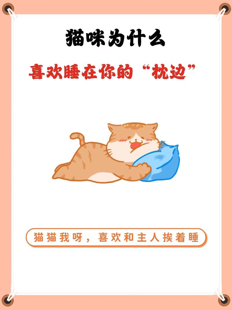 猫咪为什么喜欢睡枕头,猫咪为什么睡枕头上咬头发?-第4张图片-后鲨宠物 猫咪为什么喜欢睡枕头,猫咪为什么睡枕头上咬头发?-第4张图片-后鲨宠物
