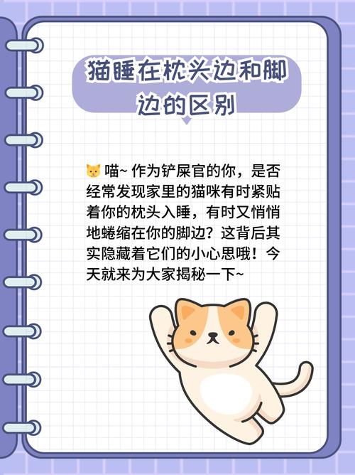 猫咪为什么喜欢睡枕头,猫咪为什么睡枕头上咬头发?-第5张图片-后鲨宠物 猫咪为什么喜欢睡枕头,猫咪为什么睡枕头上咬头发?-第5张图片-后鲨宠物