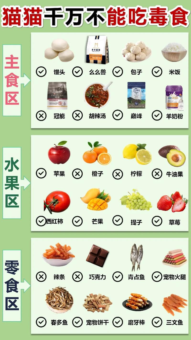猫猫不可以吃什么,猫猫不可以吃什么东西?-第5张图片-后鲨宠物 猫猫不可以吃什么,猫猫不可以吃什么东西?-第5张图片-后鲨宠物