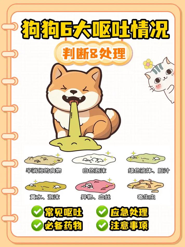 狗狗感冒了会吐吗,狗狗感冒了会吐嘛-第5张图片-后鲨宠物 狗狗感冒了会吐吗,狗狗感冒了会吐嘛-第5张图片-后鲨宠物