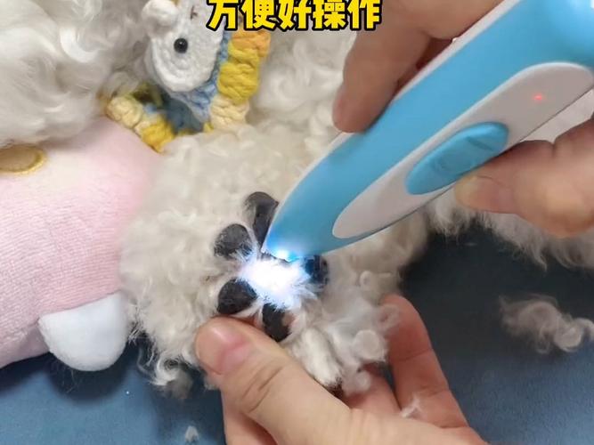 如何给狗狗剃毛,如何给狗狗剃毛造型图片?-第2张图片-后鲨宠物 如何给狗狗剃毛,如何给狗狗剃毛造型图片?-第2张图片-后鲨宠物