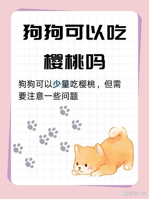 狗狗吃樱桃果肉有事吗,狗狗吃樱桃果肉有事吗视频?-第2张图片-后鲨宠物 狗狗吃樱桃果肉有事吗,狗狗吃樱桃果肉有事吗视频?-第2张图片-后鲨宠物