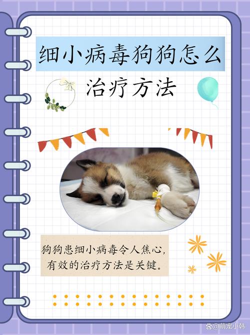 狗狗得细小病毒怎么治,狗狗细小病毒怎么治最有效的-第5张图片-后鲨宠物 狗狗得细小病毒怎么治,狗狗细小病毒怎么治最有效的-第5张图片-后鲨宠物