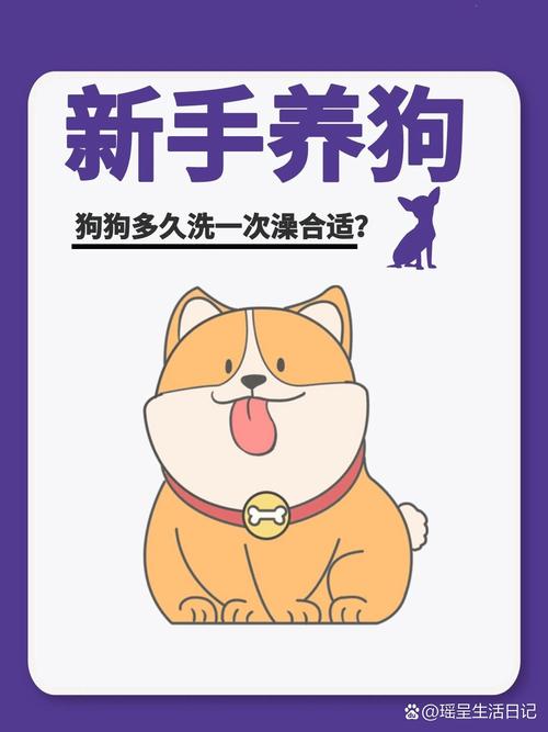 狗狗打完针多久可以洗澡_狗狗打完针多久不能洗澡-第6张图片-后鲨宠物 狗狗打完针多久可以洗澡_狗狗打完针多久不能洗澡-第6张图片-后鲨宠物