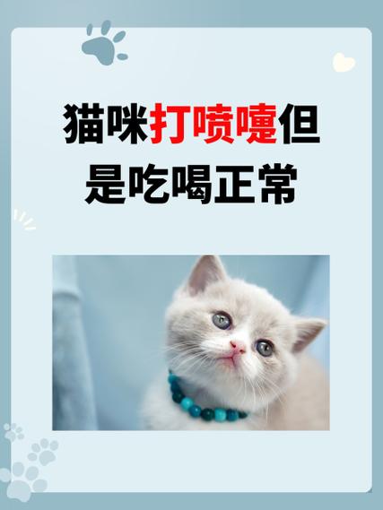  猫咪不停打喷嚏，猫咪不停打喷嚏喷血怎么回事