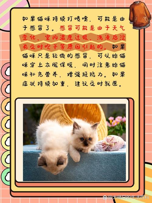  猫咪不停打喷嚏，猫咪不停打喷嚏喷血怎么回事-第5张图片-后鲨宠物