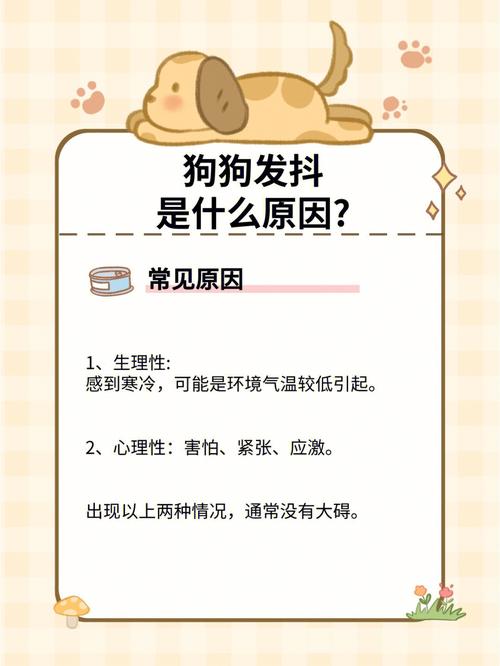 狗狗老发抖是什么原因,狗狗发抖是什么原因没精神?-第6张图片-后鲨宠物 狗狗老发抖是什么原因,狗狗发抖是什么原因没精神?-第6张图片-后鲨宠物