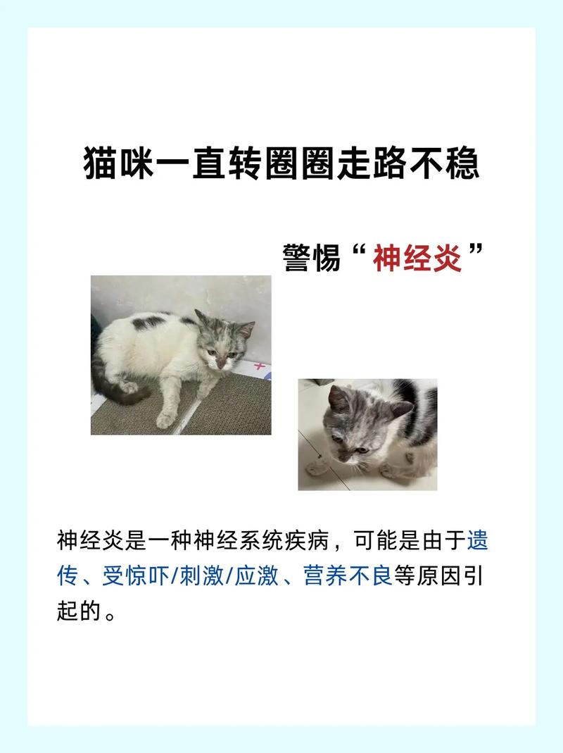 猫咪能喝葡萄糖吗,猫咪能喝葡萄糖么?-第4张图片-后鲨宠物 猫咪能喝葡萄糖吗,猫咪能喝葡萄糖么?-第4张图片-后鲨宠物