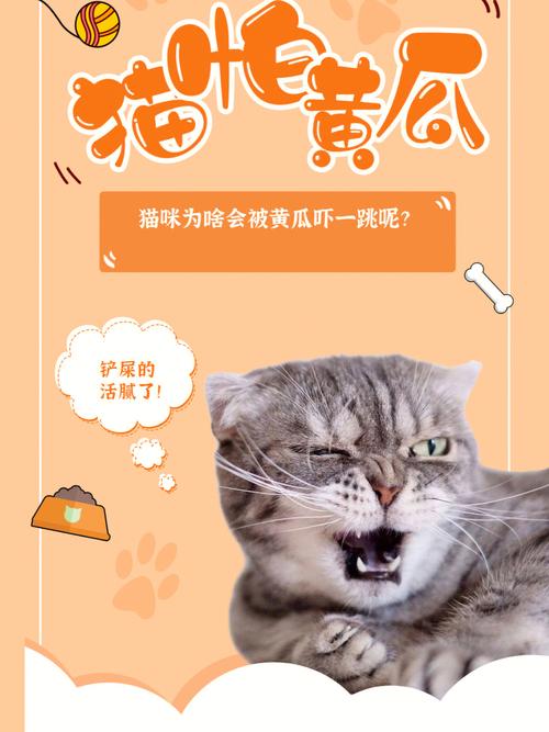 猫猫为什么怕黄瓜,猫为啥害怕黄瓜?-第2张图片-后鲨宠物 猫猫为什么怕黄瓜,猫为啥害怕黄瓜?-第2张图片-后鲨宠物