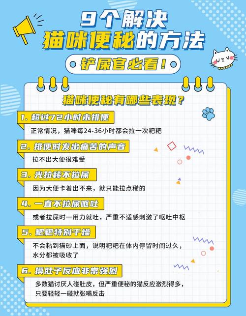 猫咪拉不出屎怎么办_猫咪拉屎拉不出来怎么办-第3张图片-后鲨宠物 猫咪拉不出屎怎么办_猫咪拉屎拉不出来怎么办-第3张图片-后鲨宠物