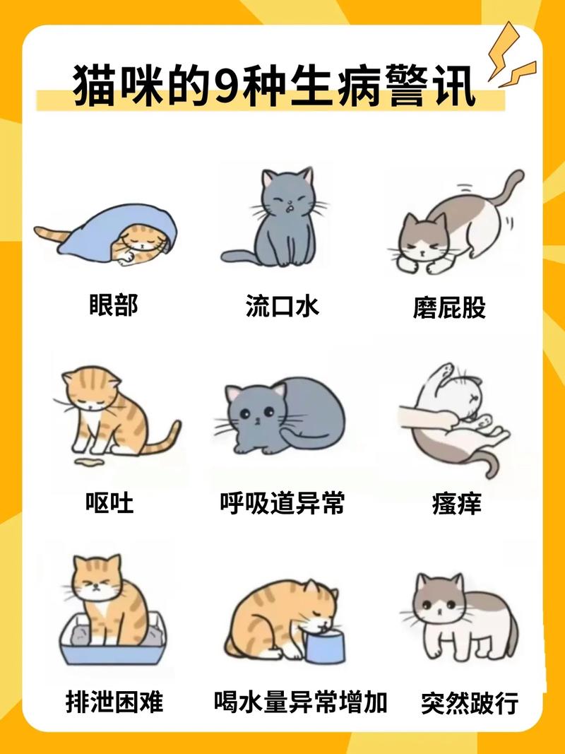 猫咪难受的表现,猫咪难受怎么缓解-第2张图片-后鲨宠物 猫咪难受的表现,猫咪难受怎么缓解-第2张图片-后鲨宠物