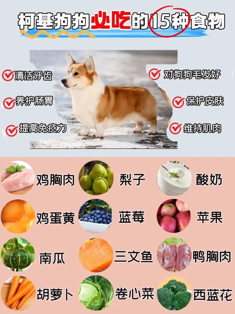 小狗狗可以吃什么_小狗狗可以吃什么水果和蔬菜-第4张图片-后鲨宠物 小狗狗可以吃什么_小狗狗可以吃什么水果和蔬菜-第4张图片-后鲨宠物