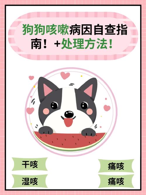 狗狗嗓子不舒服怎么办_小狗狗嗓子-第3张图片-后鲨宠物 狗狗嗓子不舒服怎么办_小狗狗嗓子-第3张图片-后鲨宠物