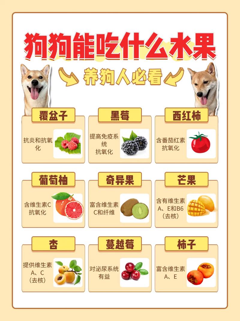 狗狗可以喝牛奶粉吗_狗狗可以喝牛奶粉吗早上-第2张图片-后鲨宠物 狗狗可以喝牛奶粉吗_狗狗可以喝牛奶粉吗早上-第2张图片-后鲨宠物