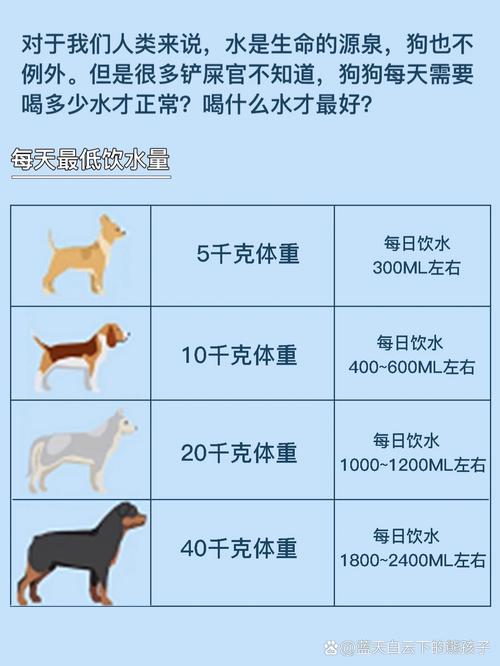 狗狗可以喝热水吗_狗子能不能喝热水-第2张图片-后鲨宠物 狗狗可以喝热水吗_狗子能不能喝热水-第2张图片-后鲨宠物