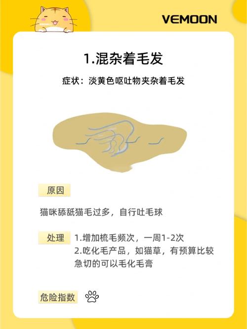 猫咪呕吐没精神,猫咪呕吐没精神不吃东西-第3张图片-后鲨宠物 猫咪呕吐没精神,猫咪呕吐没精神不吃东西-第3张图片-后鲨宠物