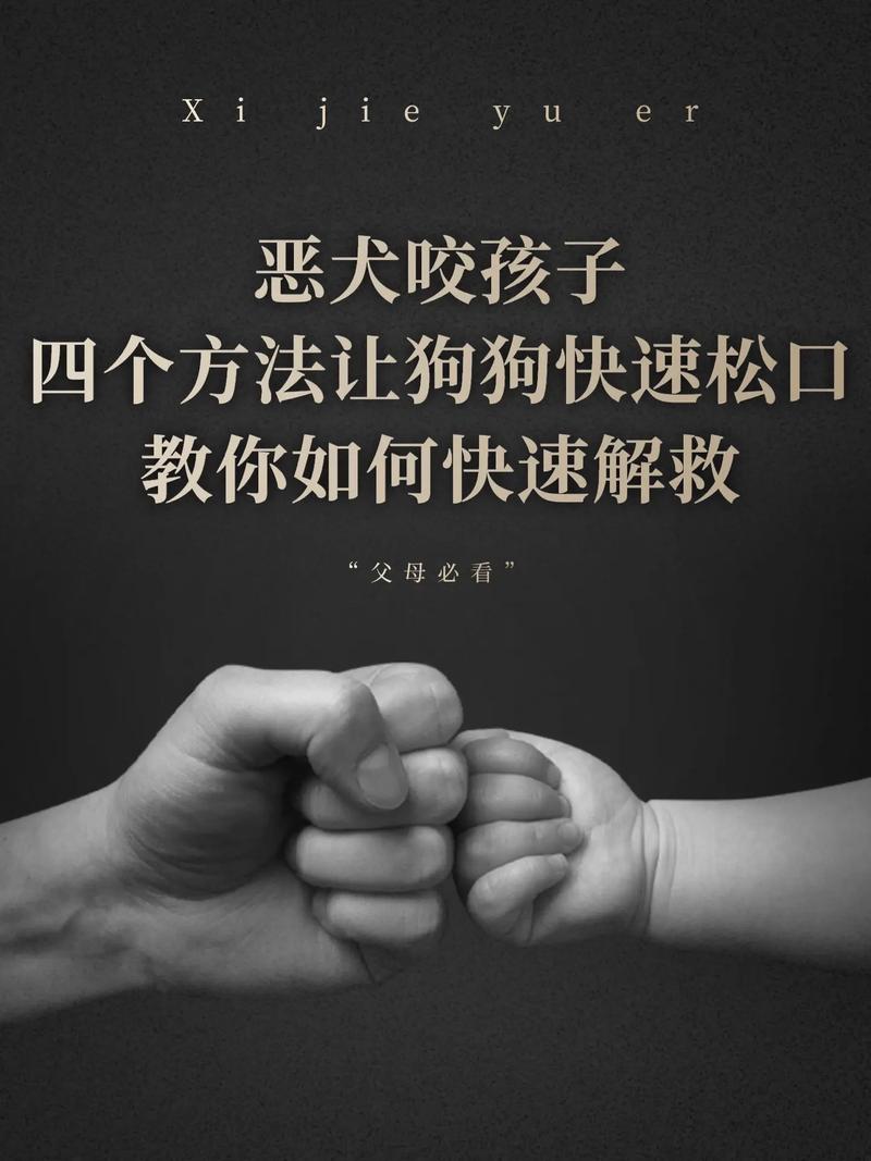  狗狗爱咬人怎么办，狗喜欢咬人怎么办-第3张图片-后鲨宠物