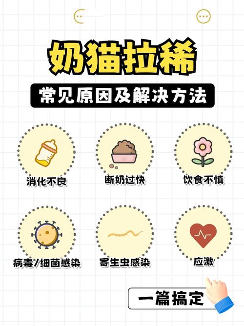 小猫咪一直拉稀怎么办,小猫咪一直拉稀怎么办吃什么药-第4张图片-后鲨宠物 小猫咪一直拉稀怎么办,小猫咪一直拉稀怎么办吃什么药-第4张图片-后鲨宠物