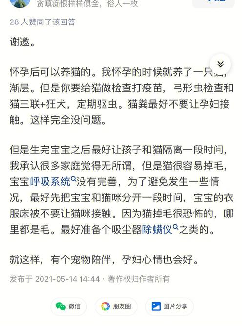 孕妇可以接触猫咪吗_怀孕期能接触猫吗-第5张图片-后鲨宠物 孕妇可以接触猫咪吗_怀孕期能接触猫吗-第5张图片-后鲨宠物