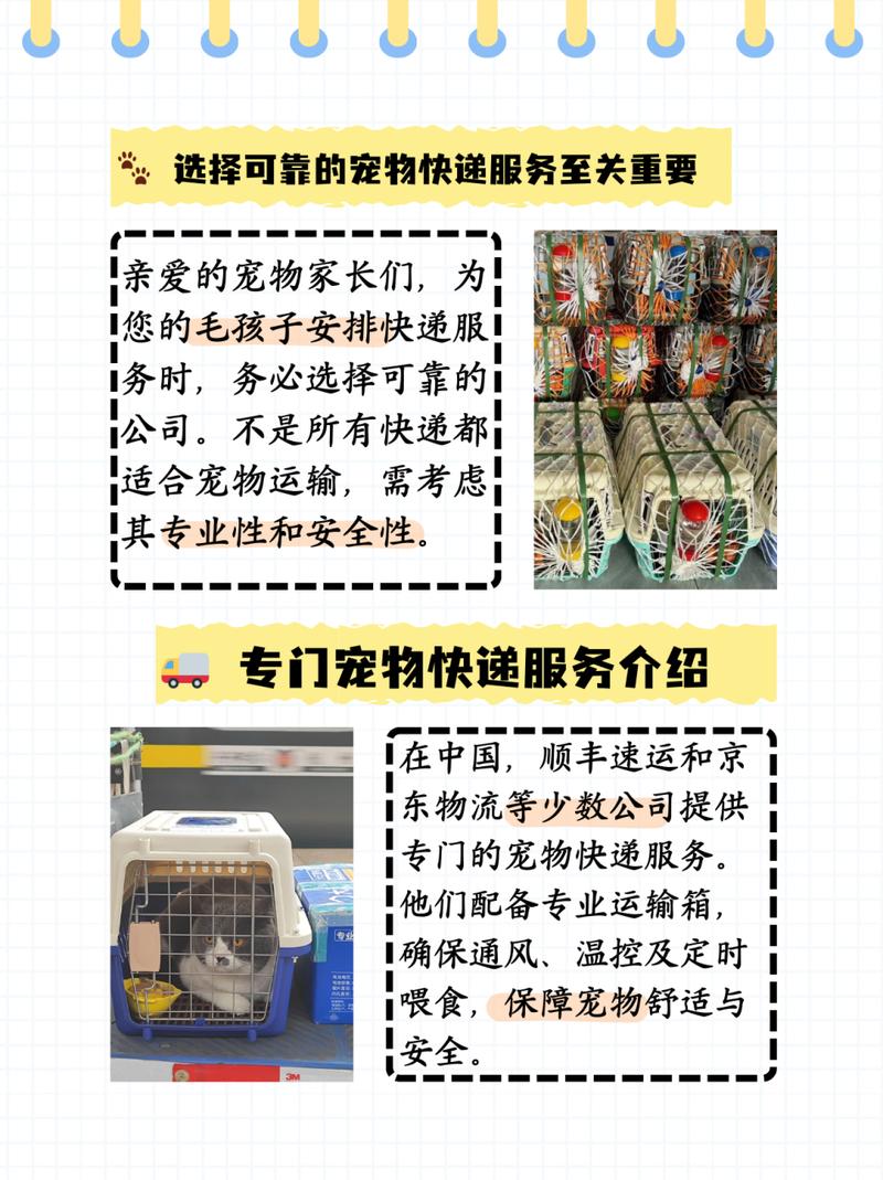 狗狗可以快递吗_宠物狗可以快递吗-第4张图片-后鲨宠物 狗狗可以快递吗_宠物狗可以快递吗-第4张图片-后鲨宠物