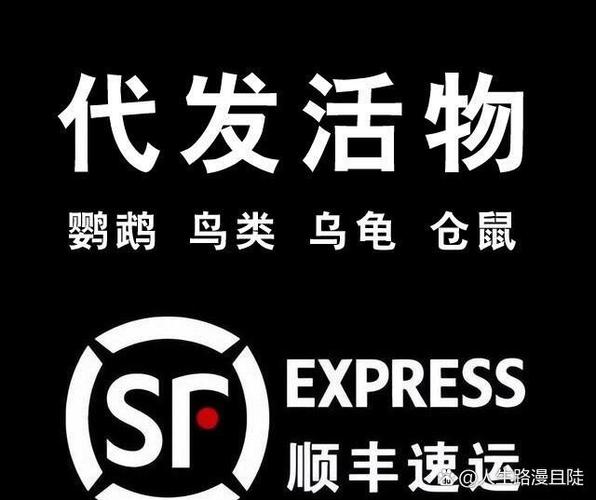 狗狗可以快递吗_宠物狗可以快递吗-第6张图片-后鲨宠物 狗狗可以快递吗_宠物狗可以快递吗-第6张图片-后鲨宠物