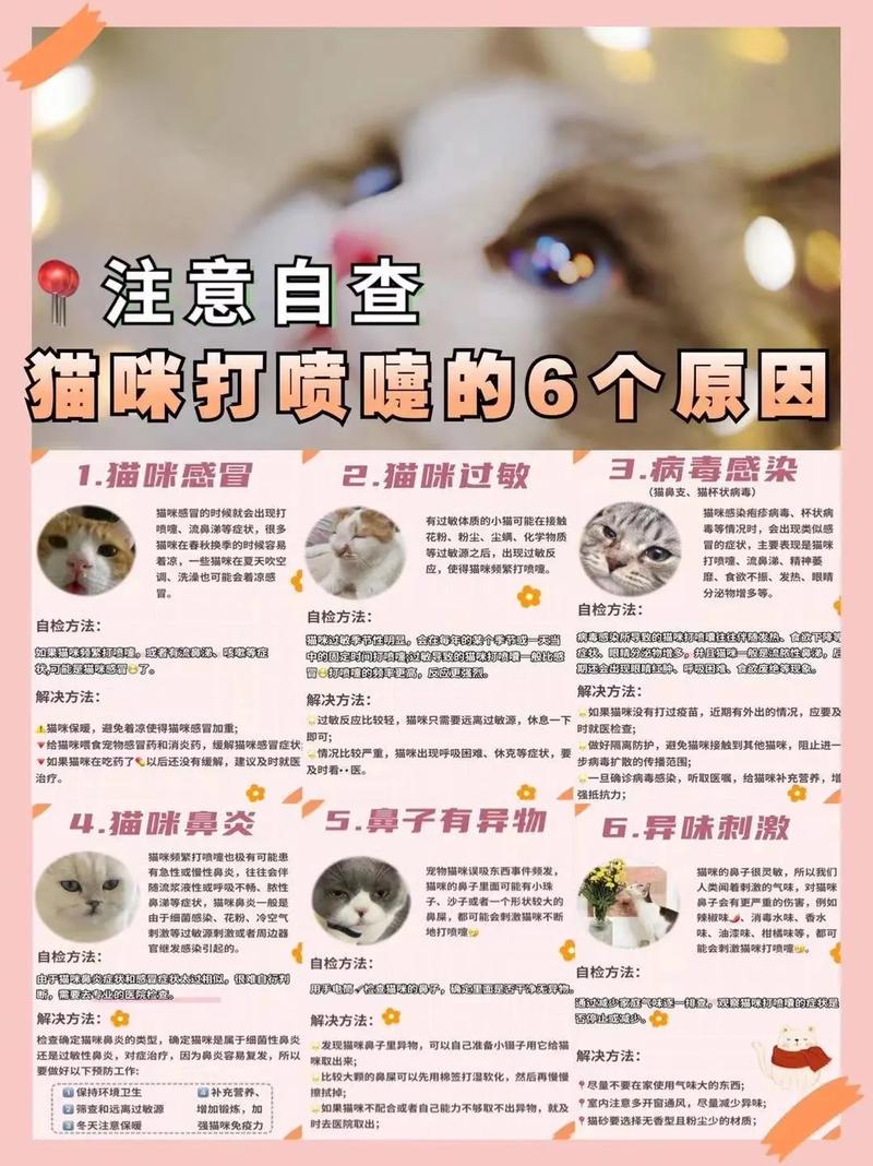 猫咪打喷嚏是怎么回事,猫咪打喷嚏打出血是怎么回事-第2张图片-后鲨宠物 猫咪打喷嚏是怎么回事,猫咪打喷嚏打出血是怎么回事-第2张图片-后鲨宠物