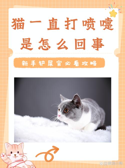 猫咪打喷嚏是怎么回事,猫咪打喷嚏打出血是怎么回事-第5张图片-后鲨宠物 猫咪打喷嚏是怎么回事,猫咪打喷嚏打出血是怎么回事-第5张图片-后鲨宠物
