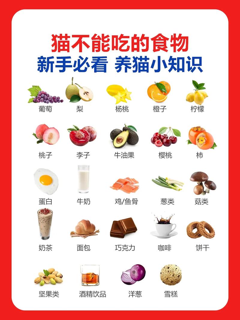 猫咪喜欢吃什么,猫咪喜欢吃什么口味的猫粮?-第4张图片-后鲨宠物 猫咪喜欢吃什么,猫咪喜欢吃什么口味的猫粮?-第4张图片-后鲨宠物