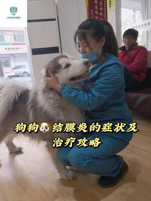 狗狗前列腺肿大的症状,狗前列腺肿大怎么回事-第3张图片-后鲨宠物 狗狗前列腺肿大的症状,狗前列腺肿大怎么回事-第3张图片-后鲨宠物