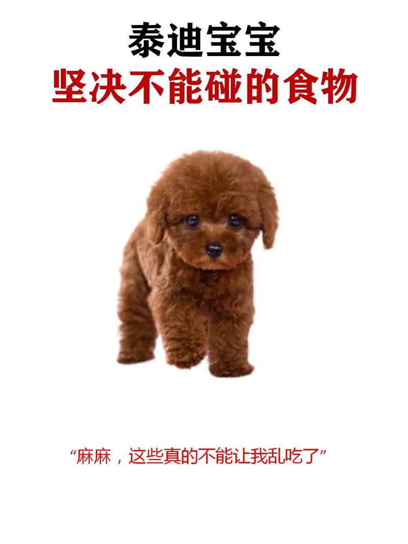 狗狗吃狗粮不嚼怎么办,狗狗吃狗粮不会嚼怎么办-第6张图片-后鲨宠物 狗狗吃狗粮不嚼怎么办,狗狗吃狗粮不会嚼怎么办-第6张图片-后鲨宠物