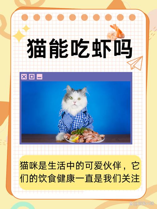 猫咪能吃海鲜吗_猫可以吃海鲜吗-第3张图片-后鲨宠物 猫咪能吃海鲜吗_猫可以吃海鲜吗-第3张图片-后鲨宠物