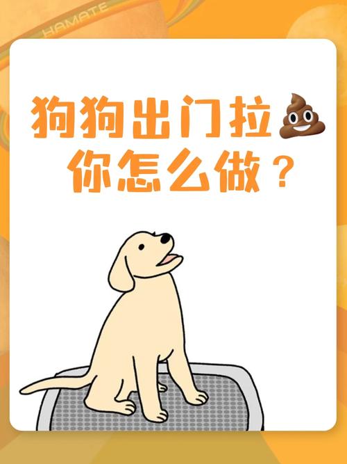 狗狗乱拉屎拉尿怎么办,狗狗乱拉屎拉尿怎么办知乎?-第1张图片-后鲨宠物 狗狗乱拉屎拉尿怎么办,狗狗乱拉屎拉尿怎么办知乎?-第1张图片-后鲨宠物